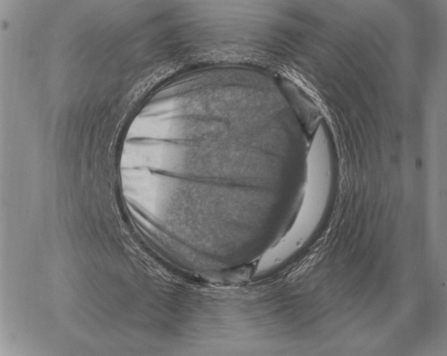 X0000066950673200604211816