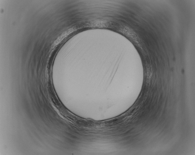 X0000066950674200604211816