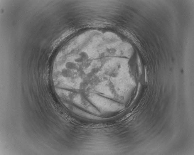 X0000066950675200604211816