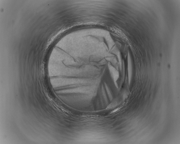 X0000066950676200604211816