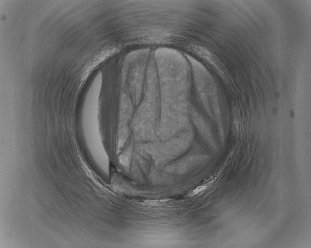 X0000066950677200604211816