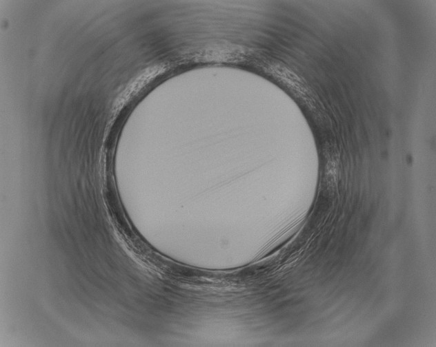 X0000066950678200604211816