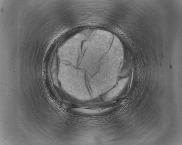 X0000066950680200604211816