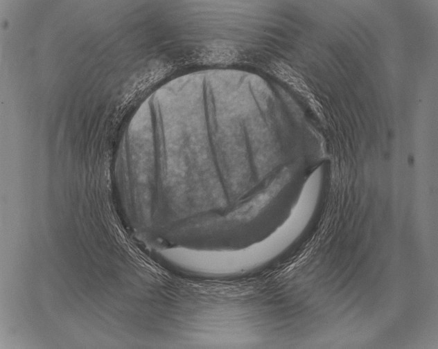 X0000066950681200604211816