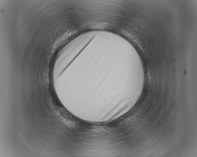 X0000066950682200604211816