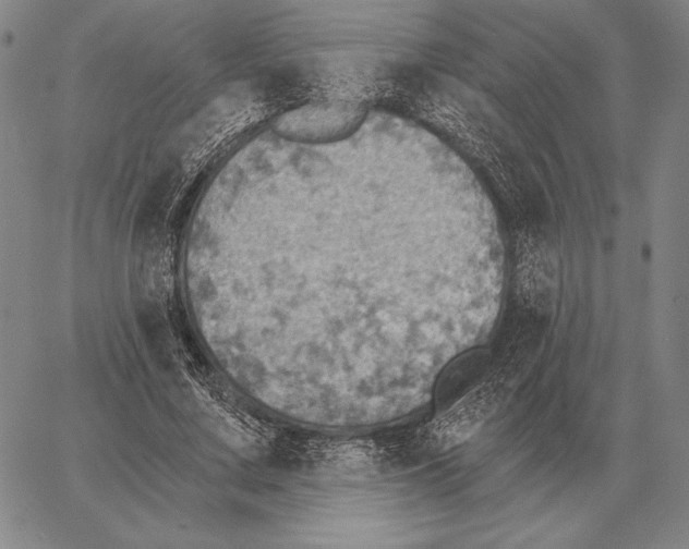 X0000066950683200604211816