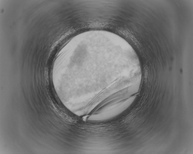 X0000066950684200604211816