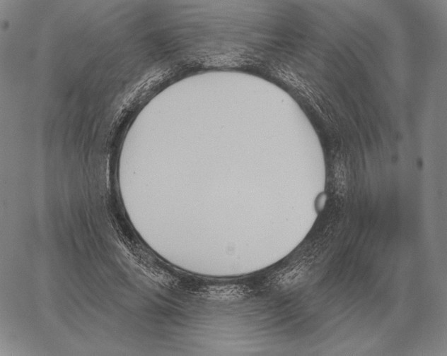 X0000066950686200604211816