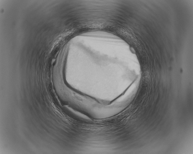 X0000066950688200604211816