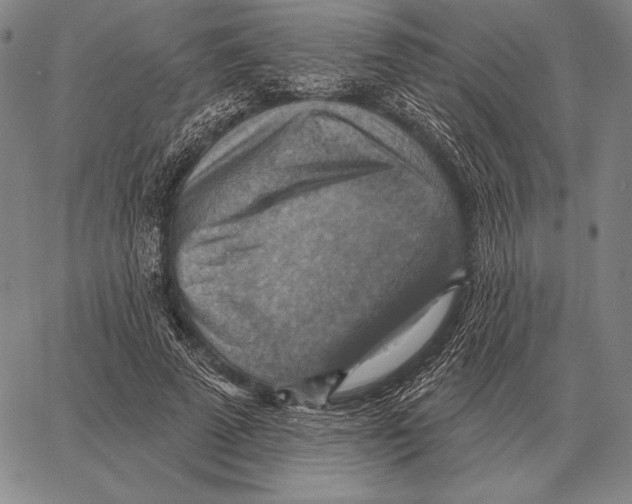 X0000066950689200604211816