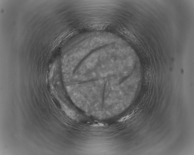 X0000066950693200604211816