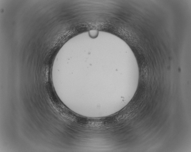 X0000066950694200604211816