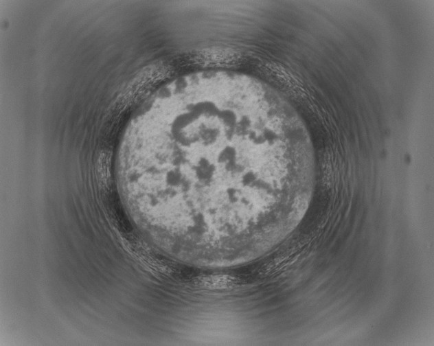 X0000066950695200604211815