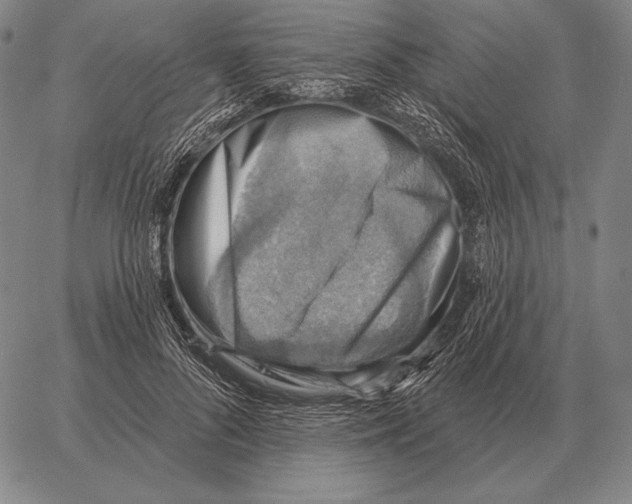 X0000066950696200604211815