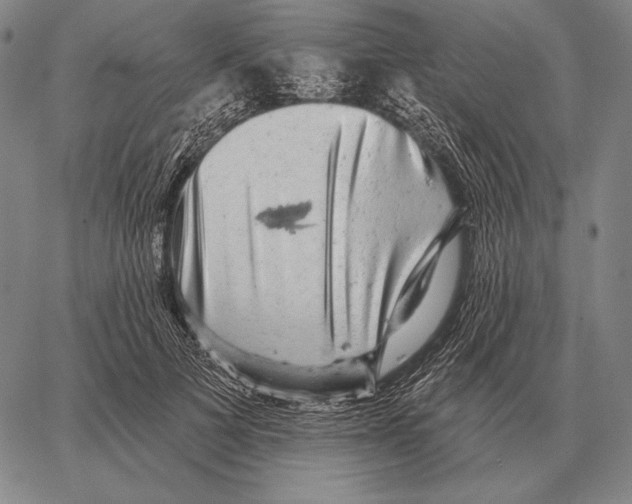 X0000066950697200604211815