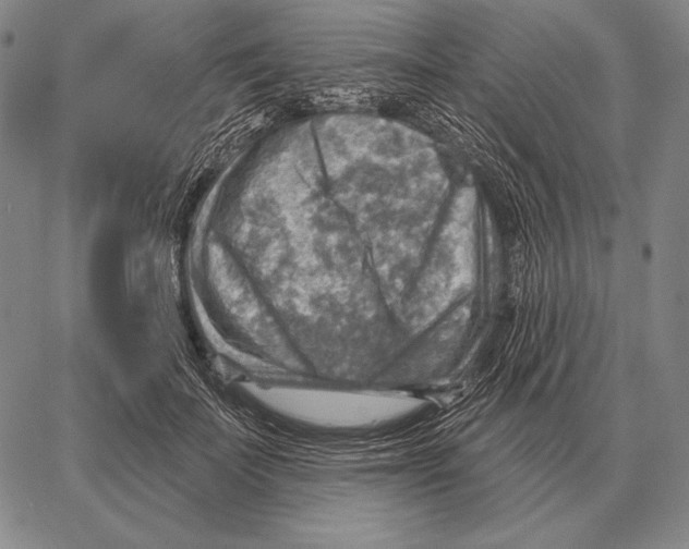 X0000066950699200604211815