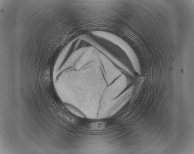 X0000066950700200604211815