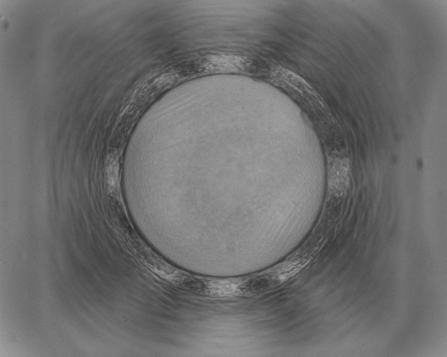 X0000066950701200604211815