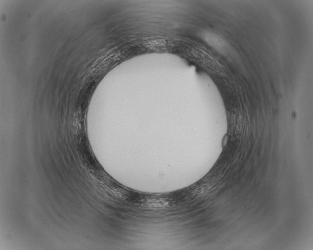 X0000066950702200604211815