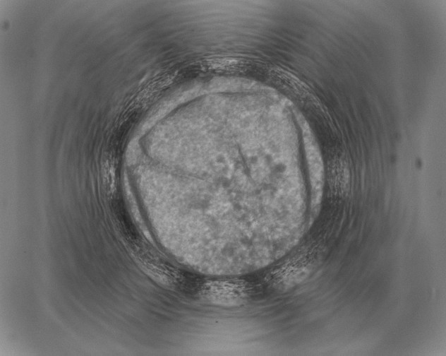 X0000066950703200604211815