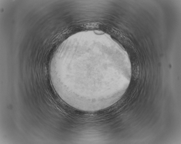 X0000066950704200604211815