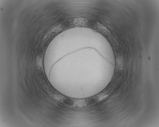 X0000066950705200604211815