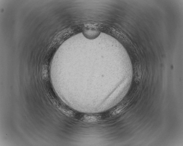 X0000066950706200604211815