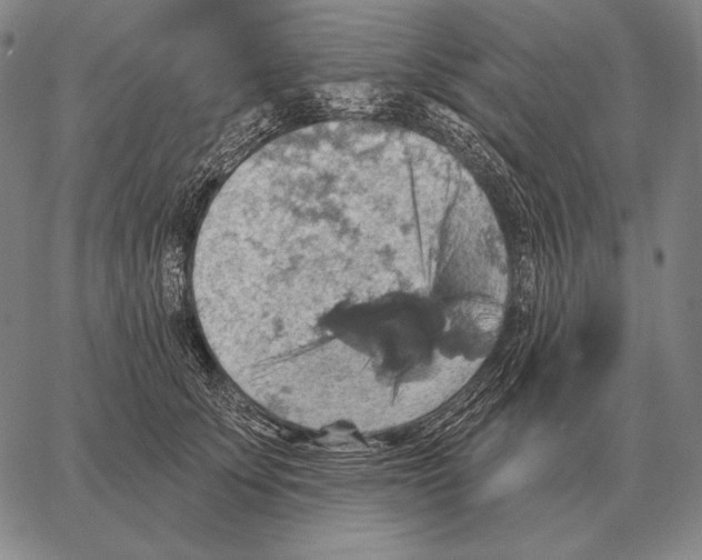 X0000066950707200604211815