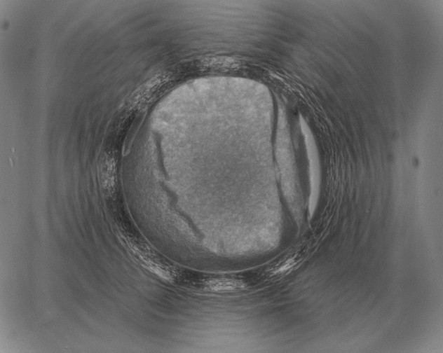 X0000066950708200604211815