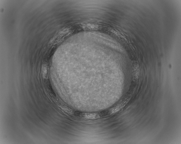 X0000066950709200604211815