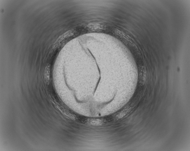 X0000066950710200604211815