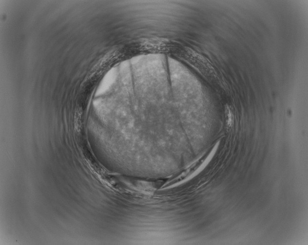 X0000066950712200604211815