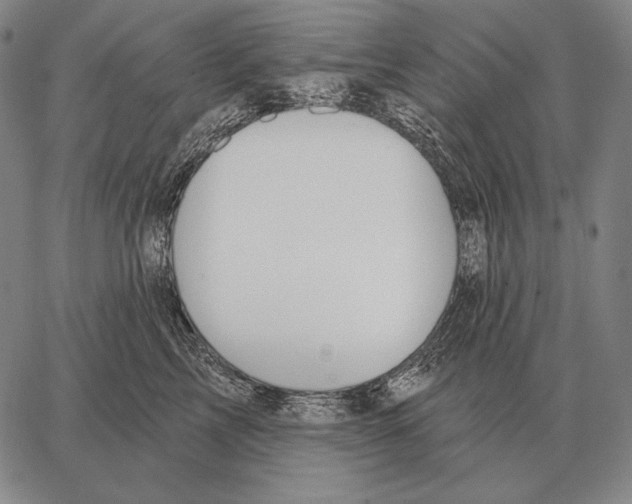 X0000066950713200604211815