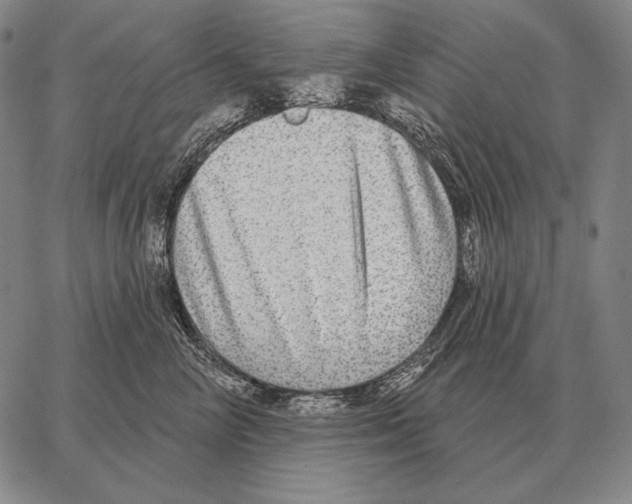 X0000066950714200604211815