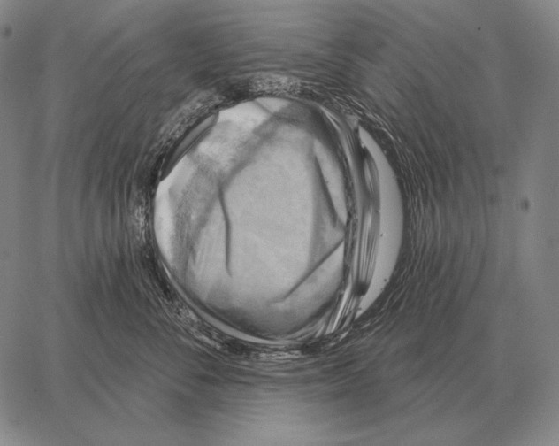 X0000066950716200604211815