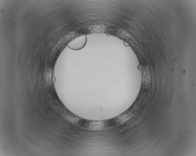 X0000066950717200604211815