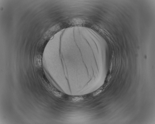 X0000066950718200604211815