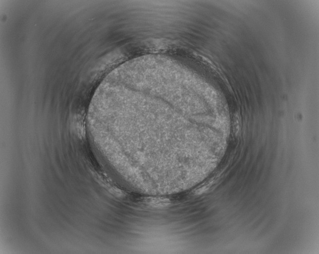 X0000066950719200604211815