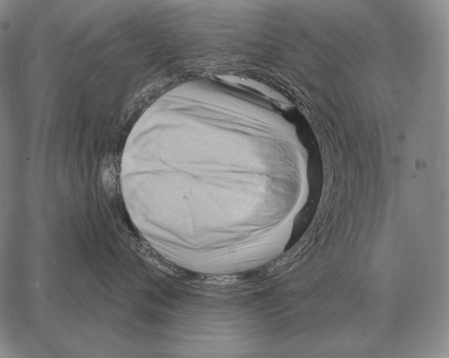 X0000066950720200604211815