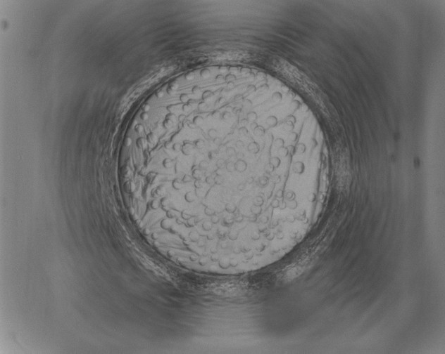 X0000066950721200604211814