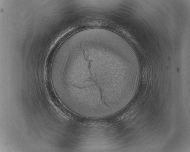 X0000066950722200604211814