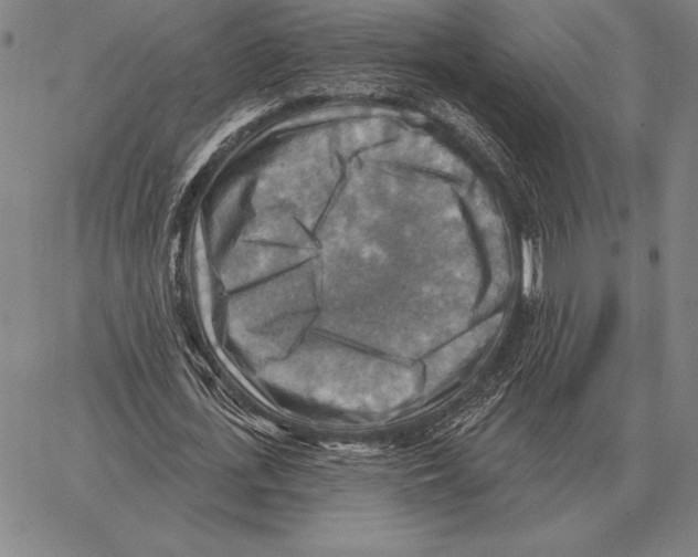 X0000066950723200604211814