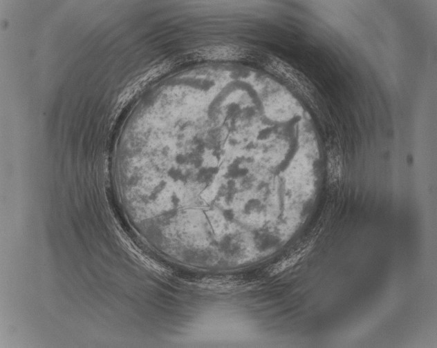 X0000066950725200604211814