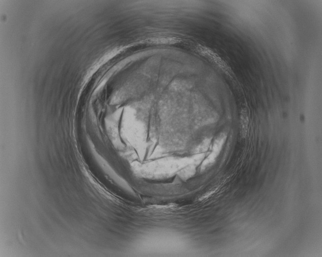 X0000066950726200604211814