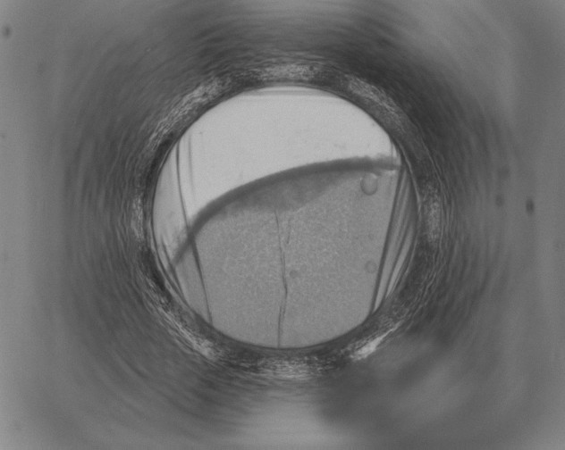 X0000066950729200604211814