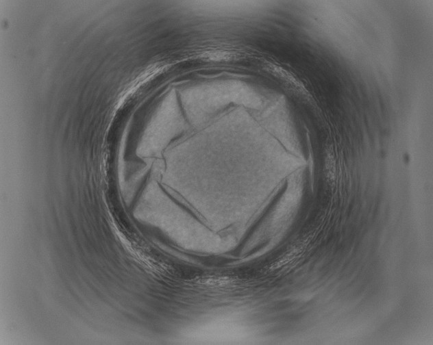 X0000066950730200604211814