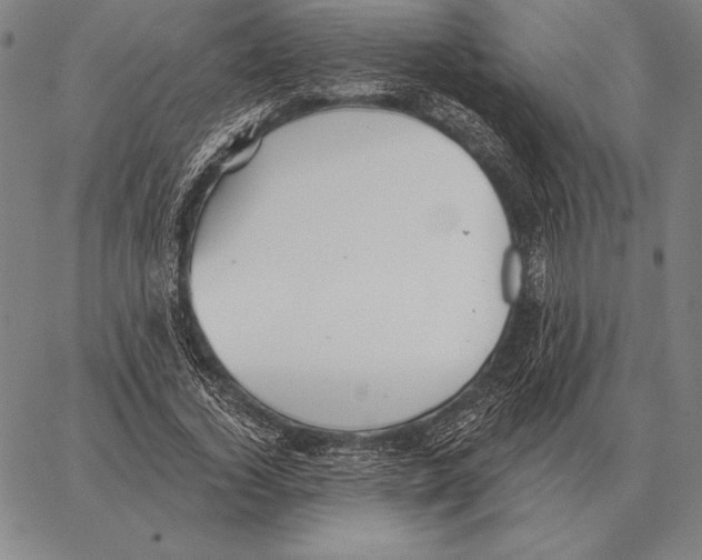 X0000066950732200604211814