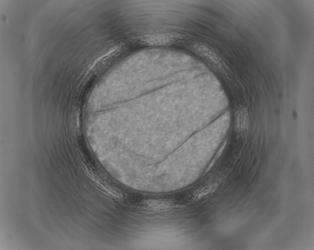 X0000066950733200604211814