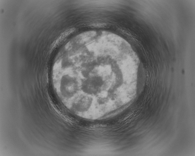 X0000066950734200604211814