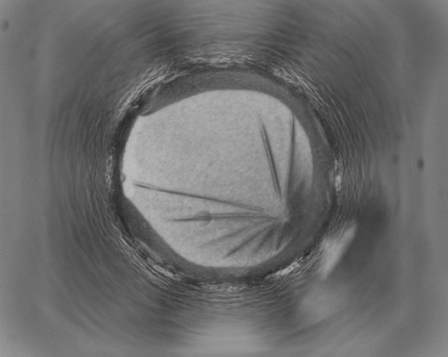 X0000066950735200604211814